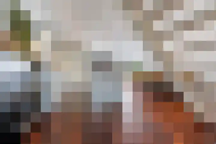 Mahatma Gandhiweg 49 Arnhem thumbnail 11