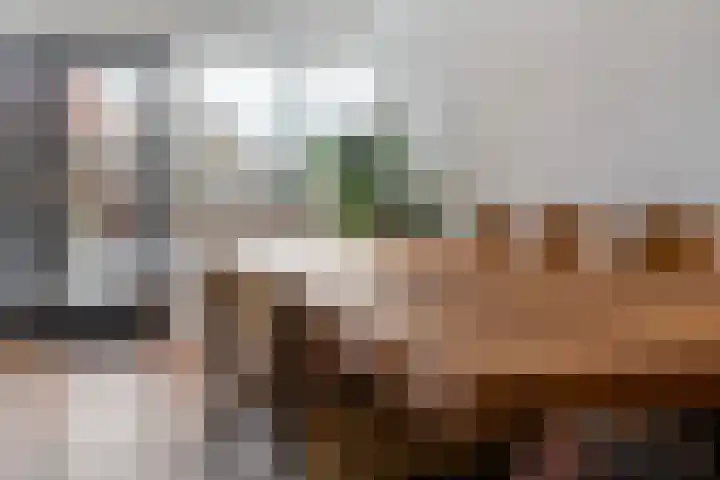 Mahatma Gandhiweg 49 Arnhem thumbnail 12