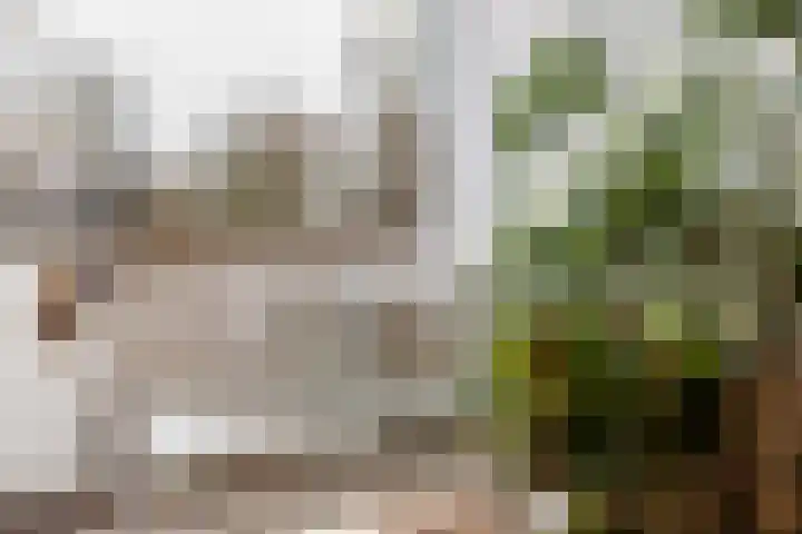 Mahatma Gandhiweg 49 Arnhem thumbnail 13