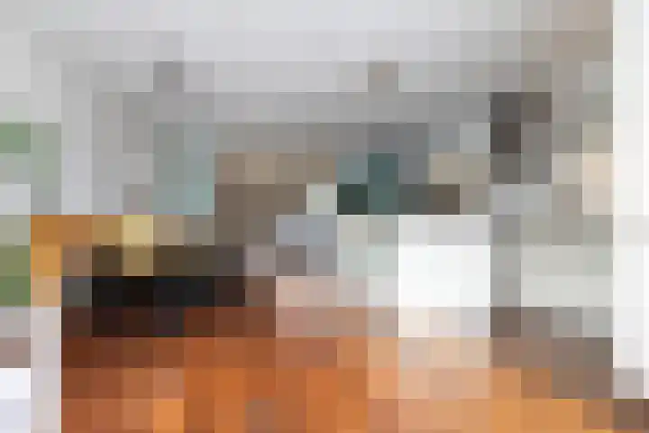 Mahatma Gandhiweg 49 Arnhem thumbnail 14