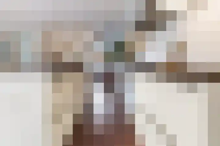 Mahatma Gandhiweg 49 Arnhem thumbnail 17