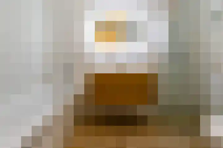 Mahatma Gandhiweg 49 Arnhem thumbnail 36