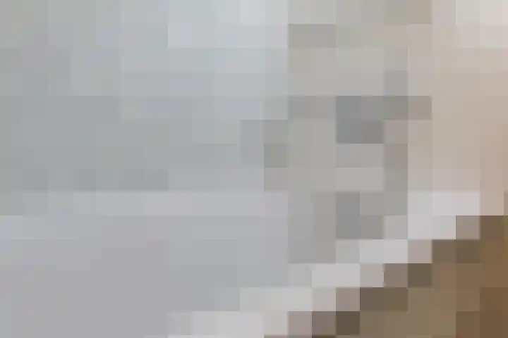 Mahatma Gandhiweg 49 Arnhem thumbnail 38