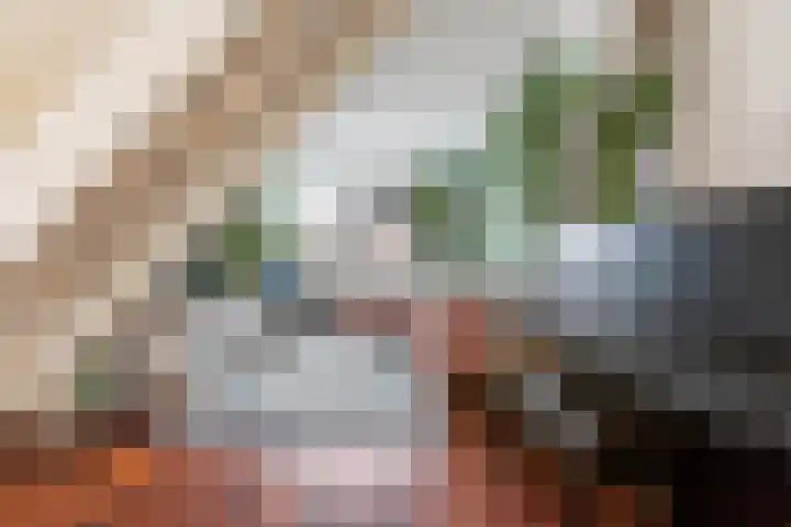 Mahatma Gandhiweg 49 Arnhem thumbnail 8