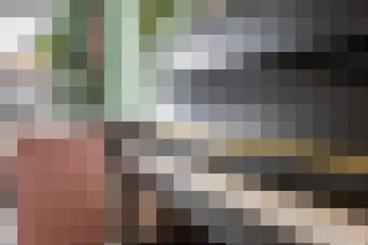 Mahatma Gandhiweg 49 Arnhem thumbnail 9