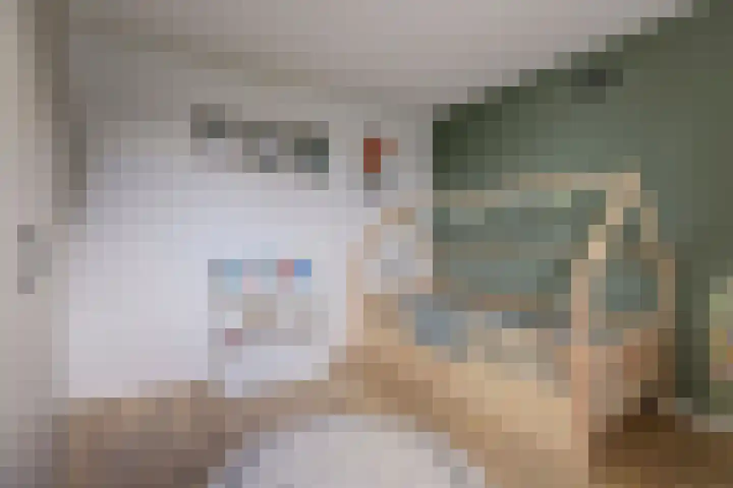 Mahatma Gandhiweg 54 Muntendam thumbnail 31