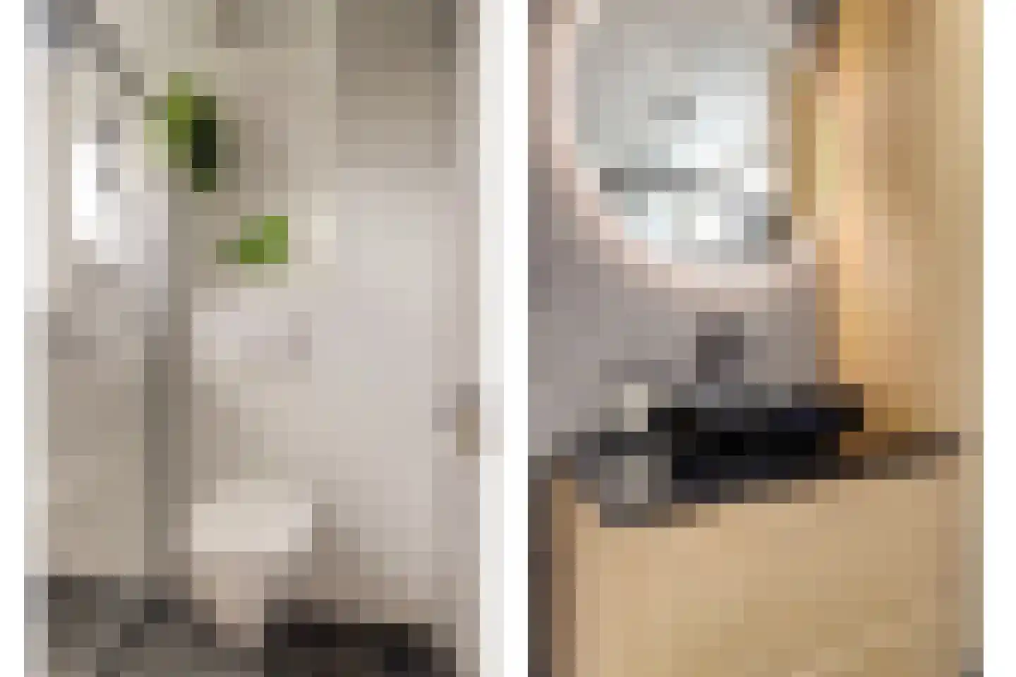Mahatma Gandhiweg 54 Muntendam thumbnail 35