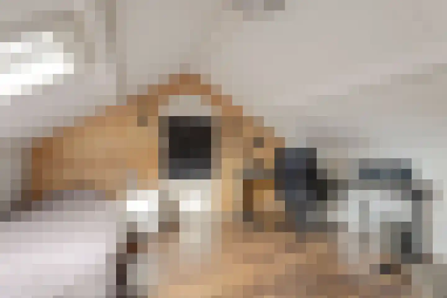 Mahatma Gandhiweg 54 Muntendam thumbnail 38