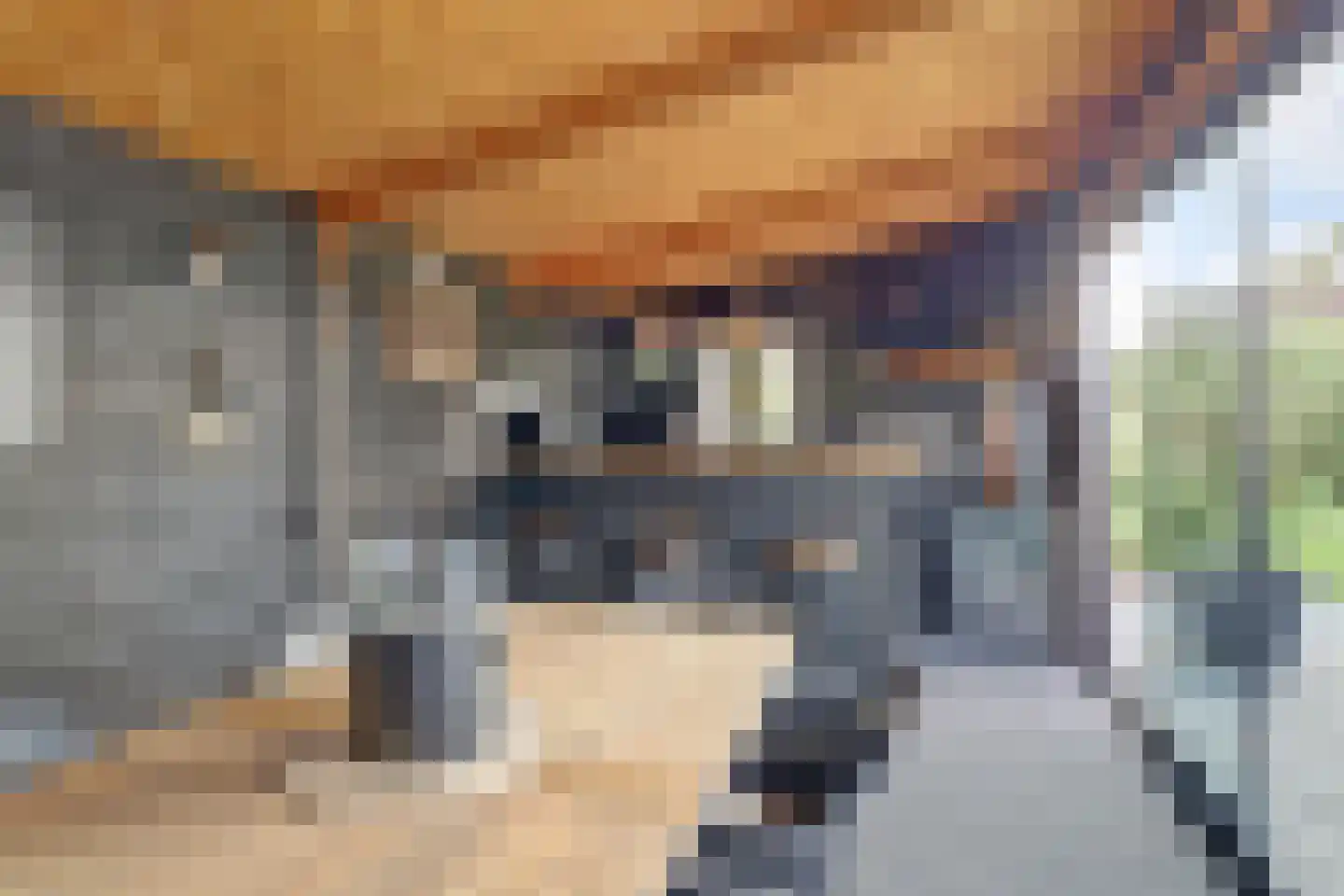 Mahatma Gandhiweg 54 Muntendam thumbnail 47