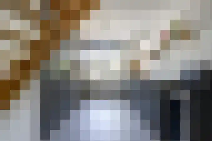 Mahatma Gandhiweg 63 Arnhem thumbnail 12