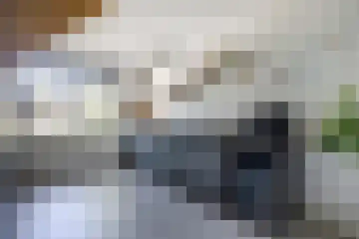 Mahatma Gandhiweg 63 Arnhem thumbnail 13