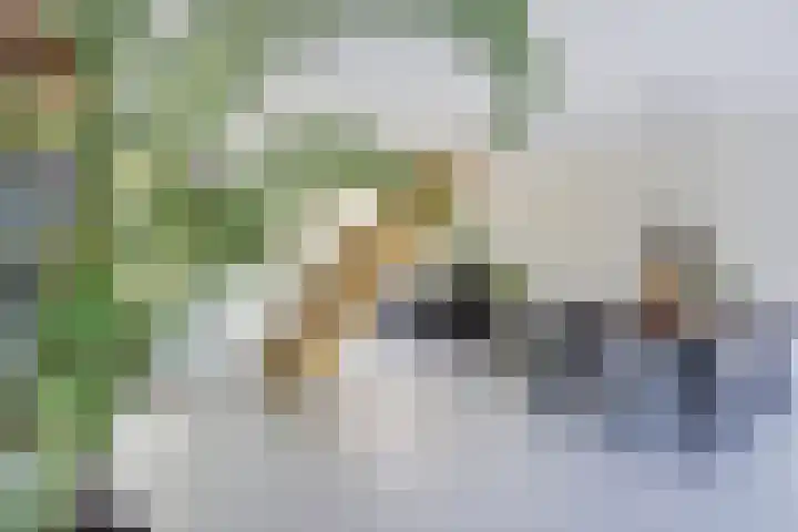 Mahatma Gandhiweg 63 Arnhem thumbnail 18
