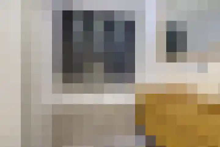 Mahatma Gandhiweg 63 Arnhem thumbnail 35