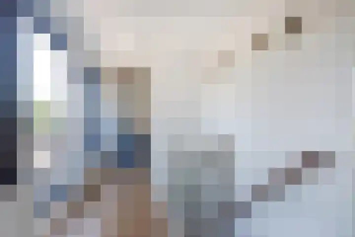 Mahatma Gandhiweg 63 Arnhem thumbnail 36