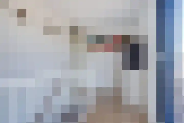 Mahatma Gandhiweg 63 Arnhem thumbnail 37