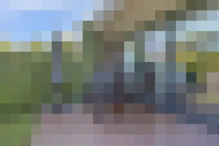 Mahatma Gandhiweg 63 Arnhem thumbnail 45