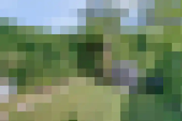 Mahatma Gandhiweg 63 Arnhem thumbnail 46