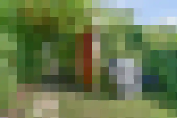 Mahatma Gandhiweg 63 Arnhem thumbnail 47