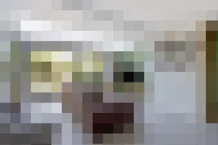 Mahatma Gandhiweg 63 Arnhem thumbnail 9