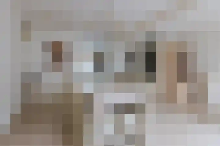 Mahatma Ghandhihof 5 Zaandam thumbnail 10