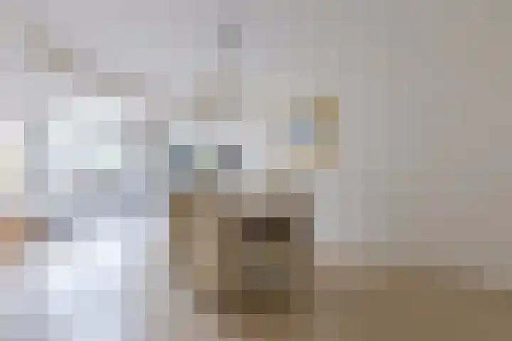 Mahatma Ghandhihof 5 Zaandam thumbnail 12