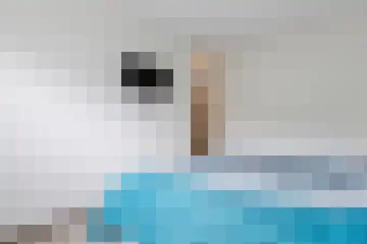Mahatma Ghandhihof 5 Zaandam thumbnail 16