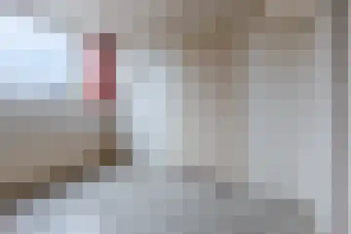 Mahatma Ghandhihof 5 Zaandam thumbnail 27