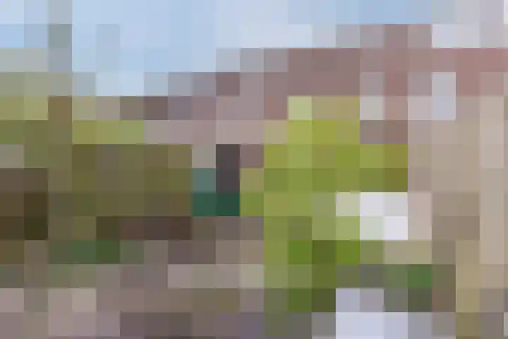 Mahatma Ghandhihof 5 Zaandam thumbnail 32