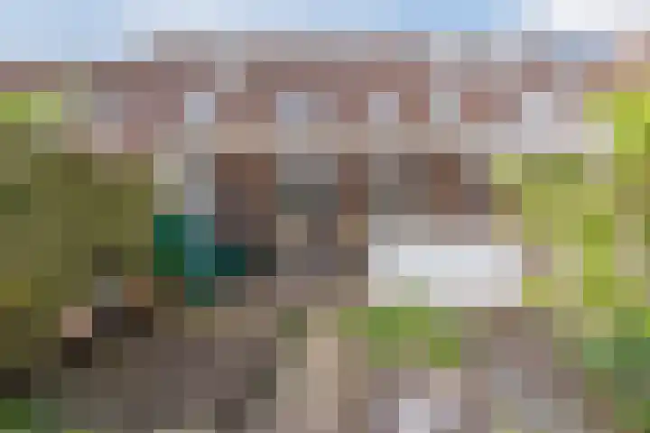 Mahatma Ghandhihof 5 Zaandam thumbnail 34