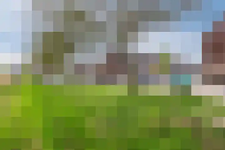 Mahatma Ghandhihof 5 Zaandam thumbnail 37