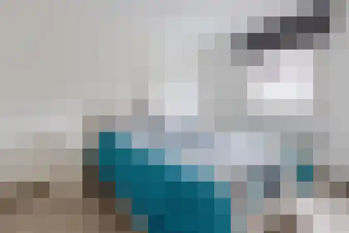 Mahatma Ghandhihof 5 Zaandam thumbnail 4