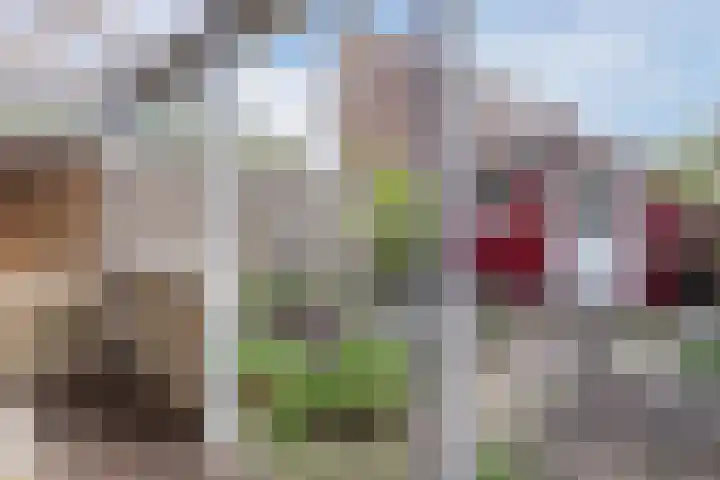 Mahatma Ghandhihof 5 Zaandam thumbnail 5