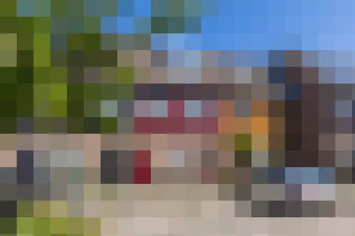 Mahatma Ghandhihof 5 Zaandam thumbnail 6