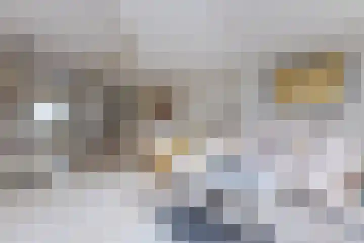 Mahatma Ghandhihof 5 Zaandam thumbnail 8