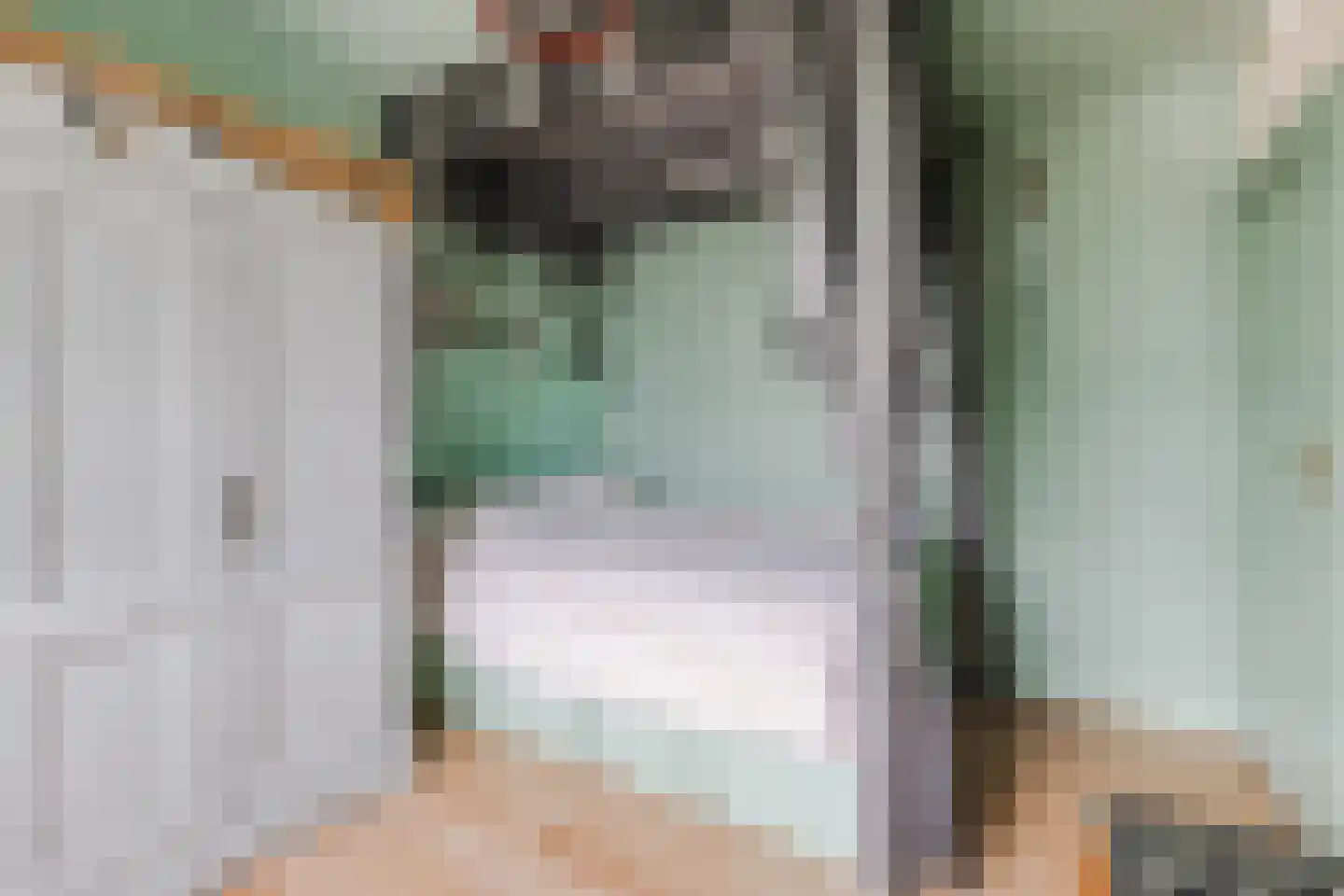 Mahatma Ghandhihof 7 Zaandam thumbnail 16