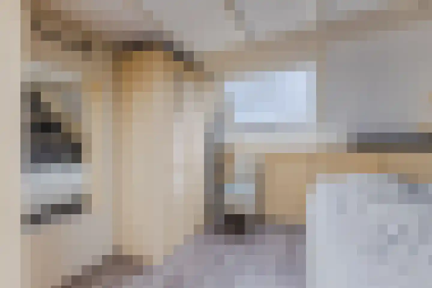Mahatma Ghandhihof 7 Zaandam thumbnail 22