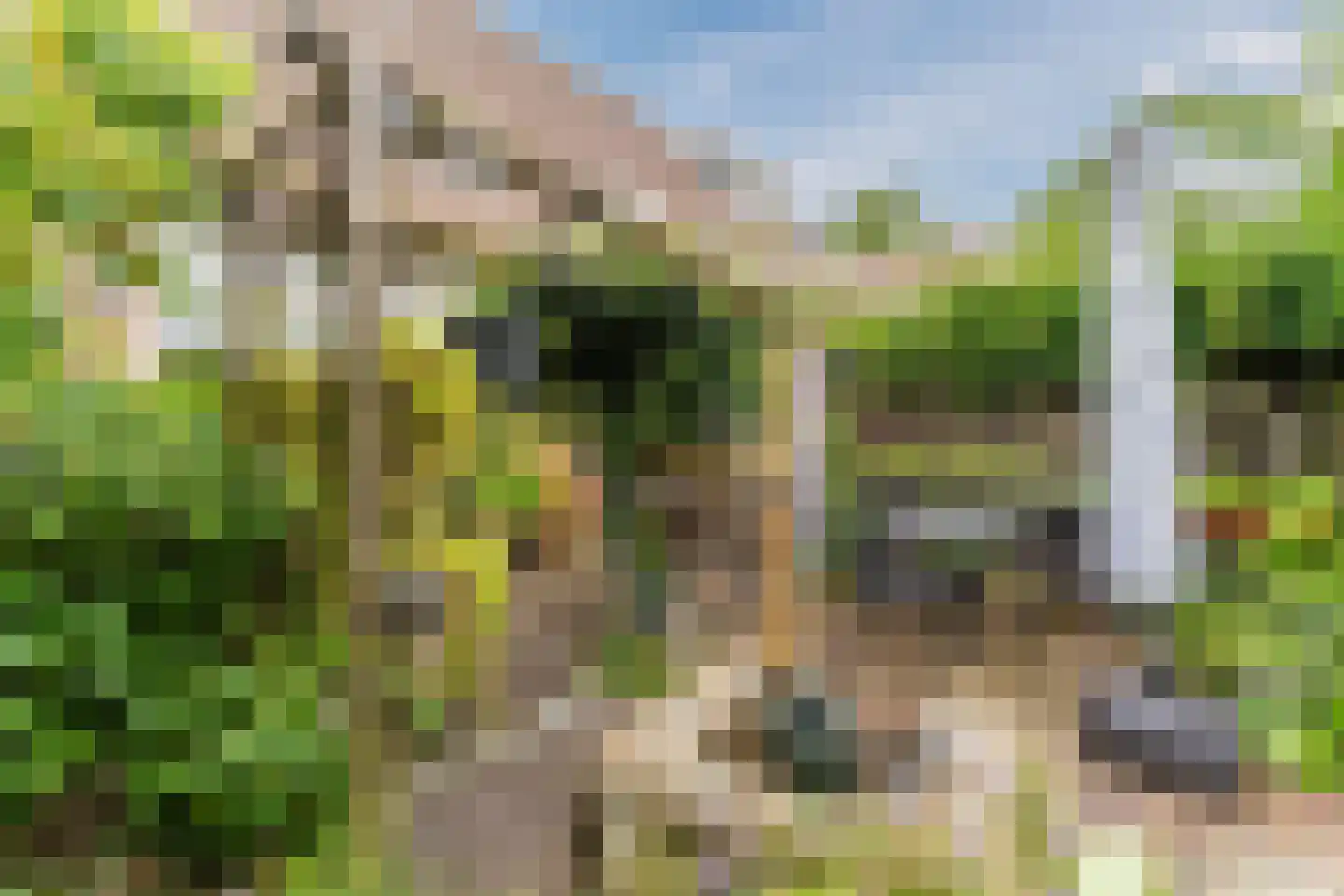 Mahatma Ghandhihof 7 Zaandam thumbnail 26