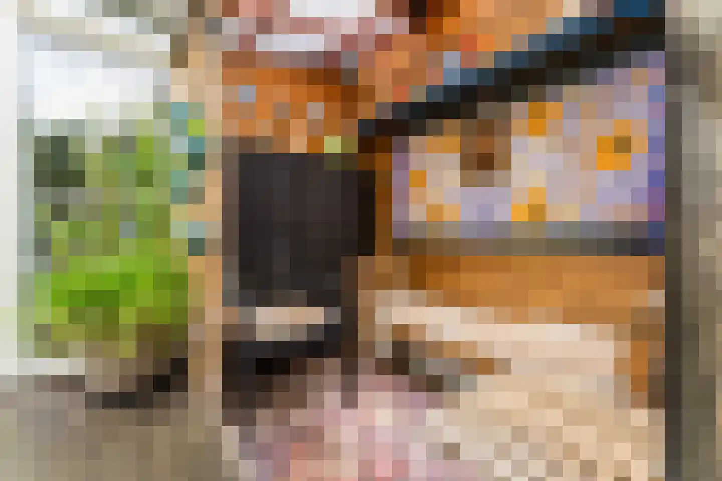 Mahatma Ghandhihof 7 Zaandam thumbnail 27