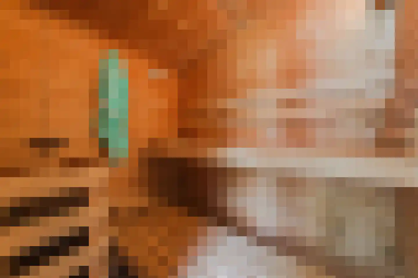 Mahatma Ghandhihof 7 Zaandam thumbnail 31