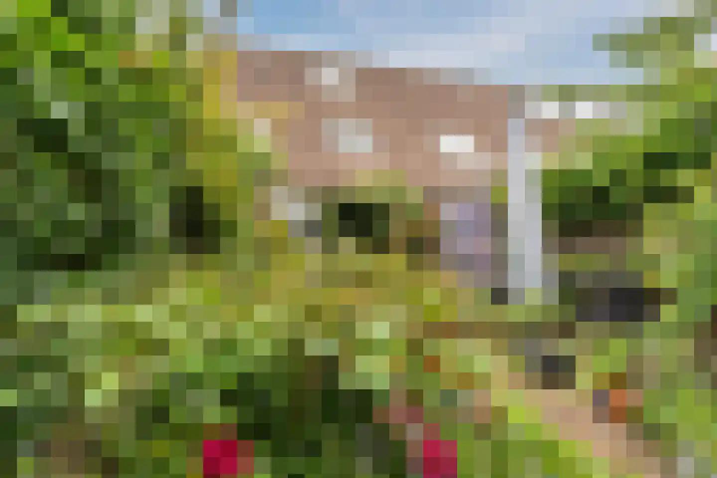 Mahatma Ghandhihof 7 Zaandam thumbnail 5