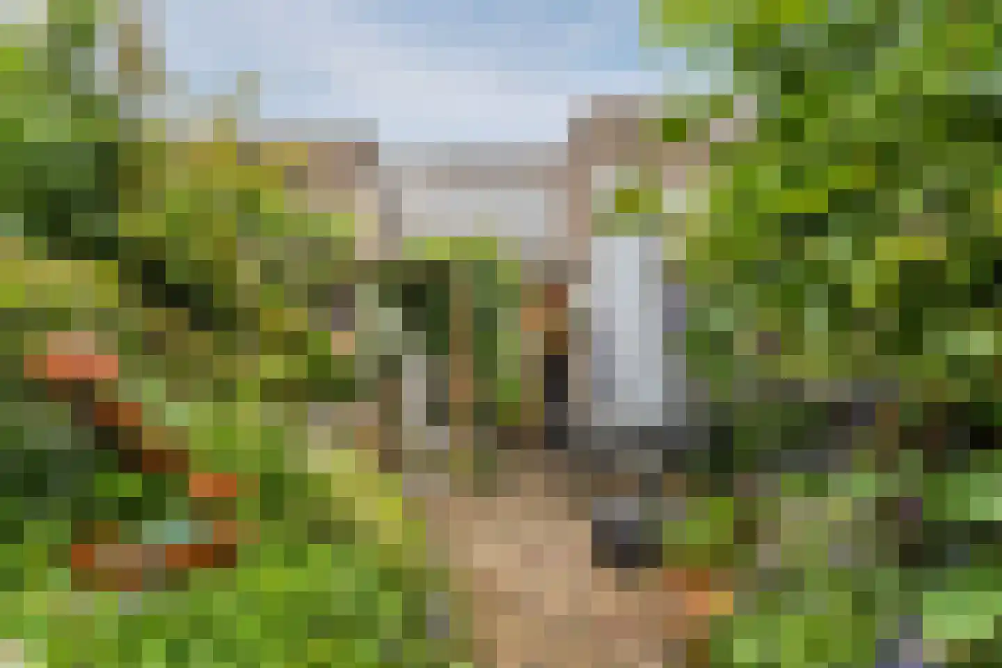 Mahatma Ghandhihof 7 Zaandam thumbnail 5