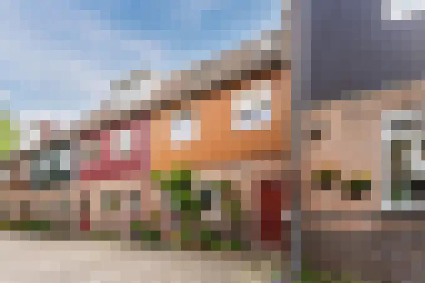 Mahatma Ghandhihof 7 Zaandam thumbnail 7