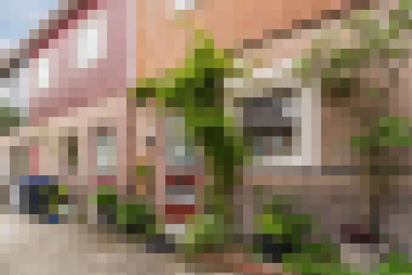Mahatma Ghandhihof 7 Zaandam thumbnail 8