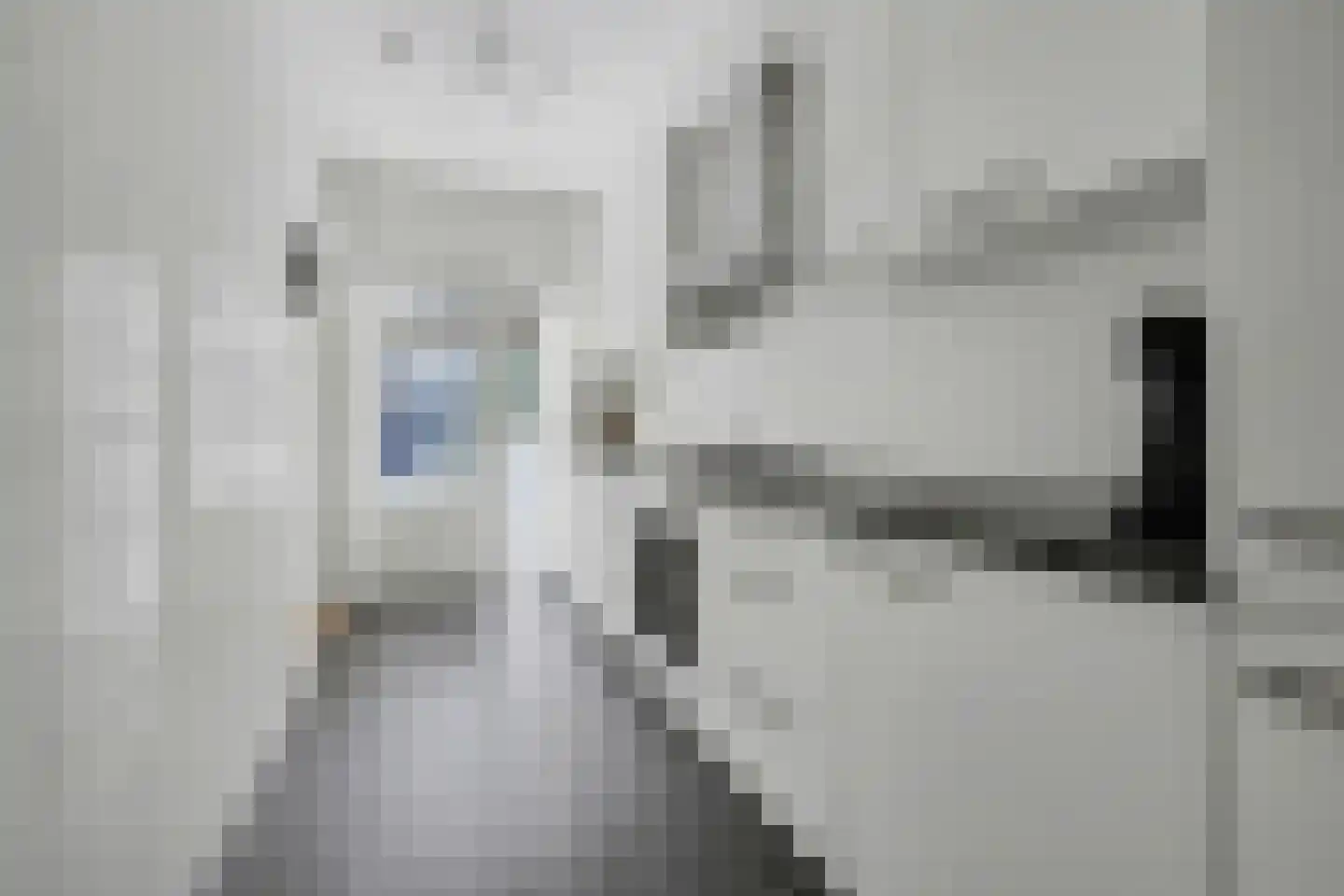 Mahlerlaan 10 Vlijmen thumbnail 11