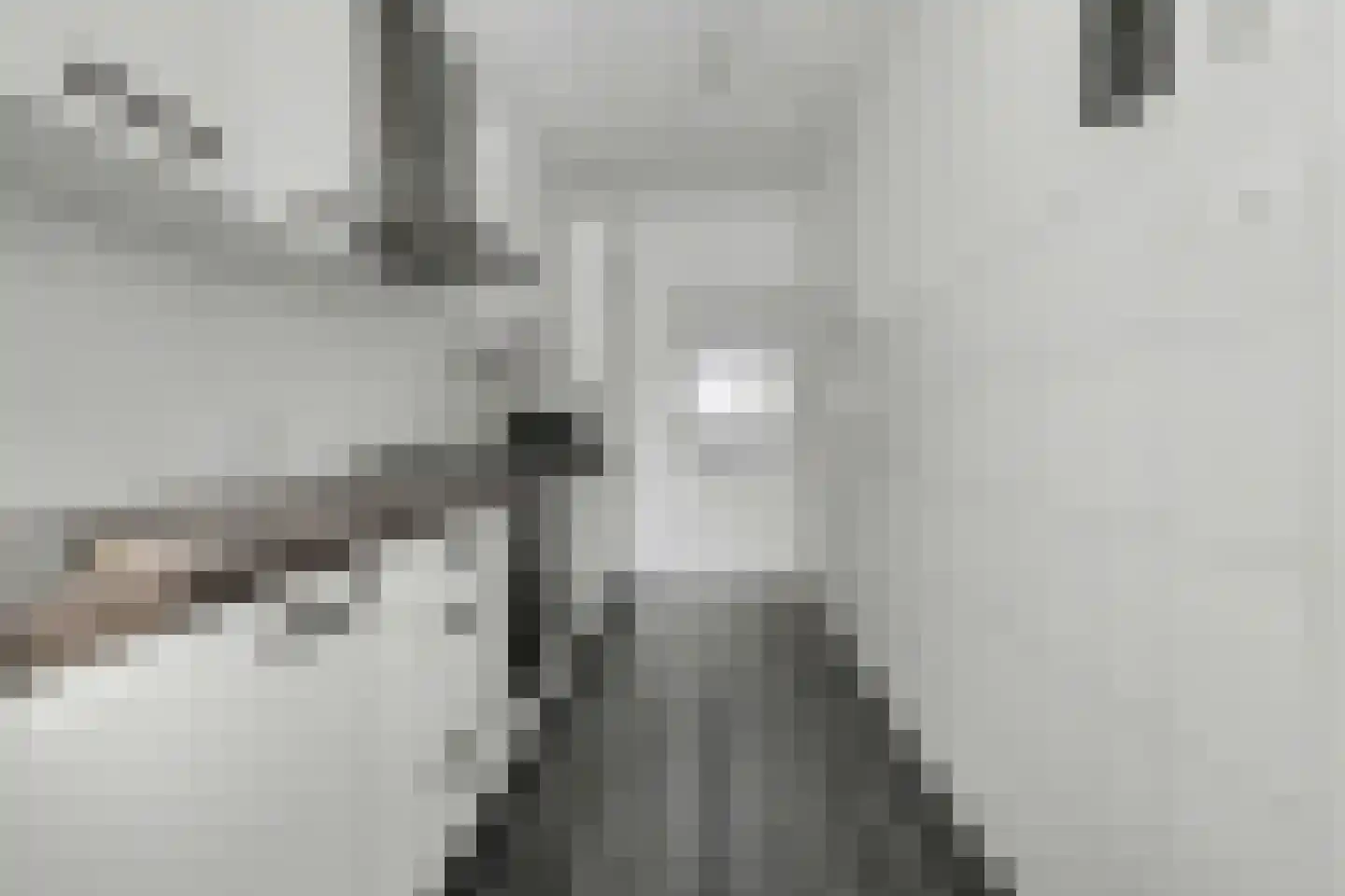 Mahlerlaan 10 Vlijmen thumbnail 13