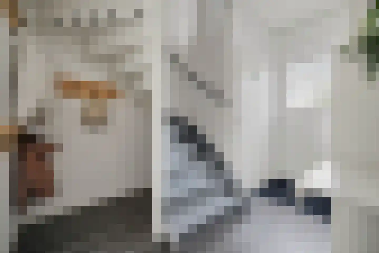 Mahlerlaan 10 Vlijmen thumbnail 16