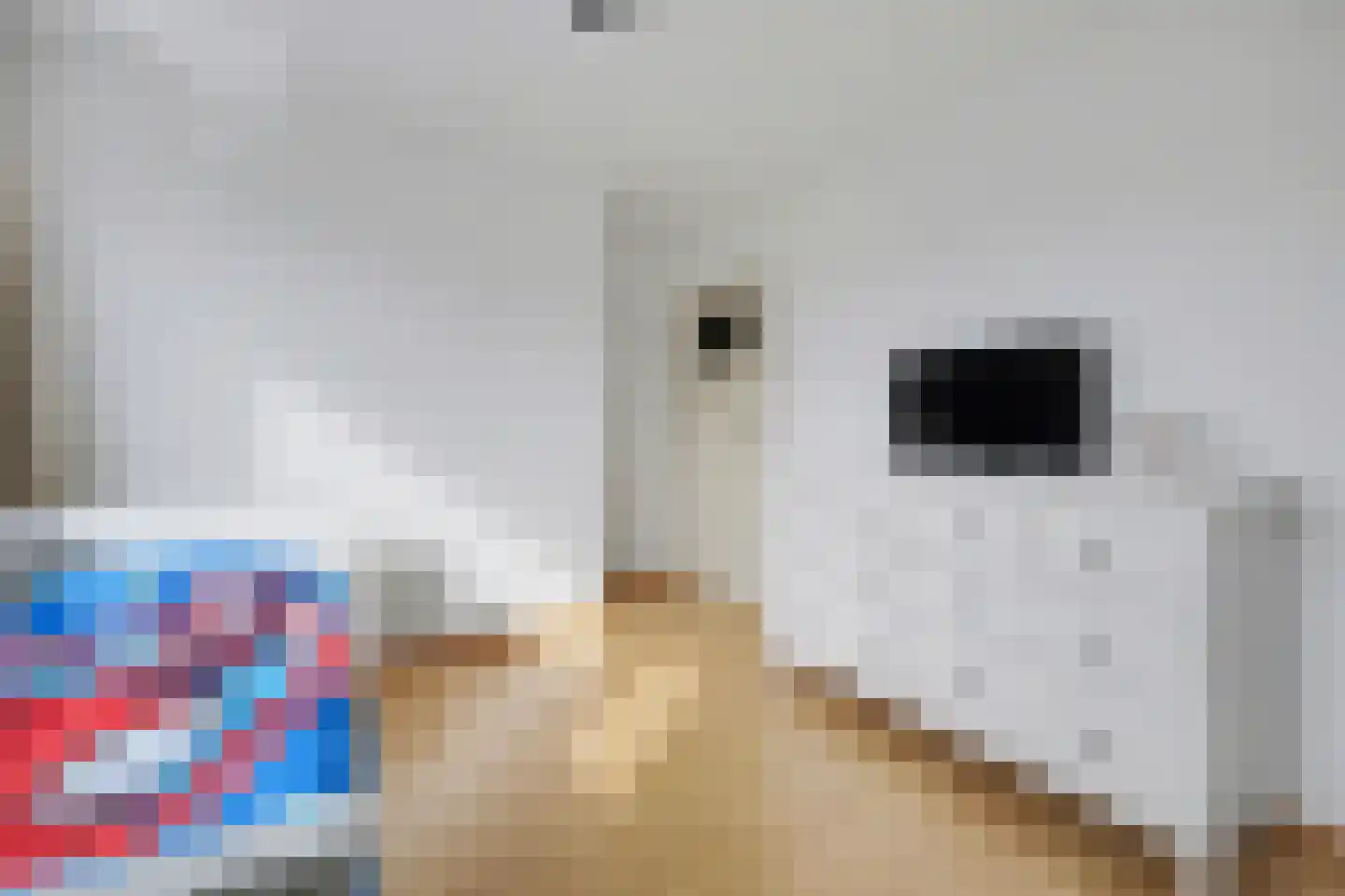 Mahlerlaan 10 Vlijmen thumbnail 19