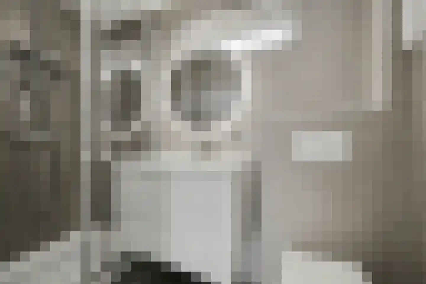 Mahlerlaan 10 Vlijmen thumbnail 20