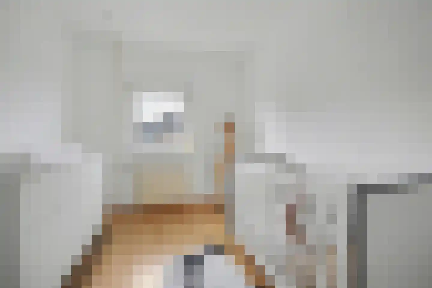 Mahlerlaan 10 Vlijmen thumbnail 26