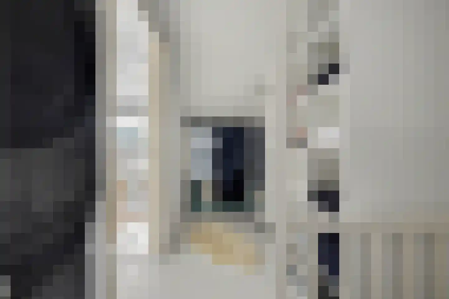 Mahlerlaan 10 Vlijmen thumbnail 34